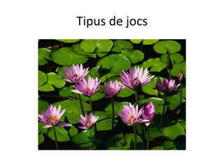 Tipus de jocs