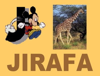 JIRAFA