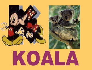 KOALA