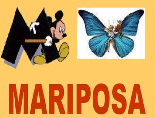MARIPOSA