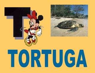 TORTUGA