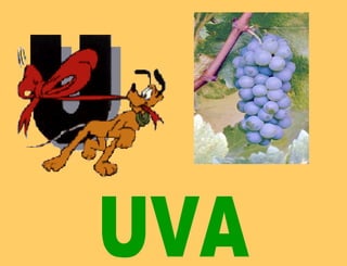 UVA