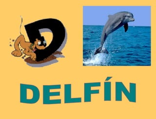 DELFÍN