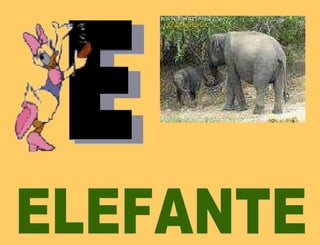 ELEFANTE