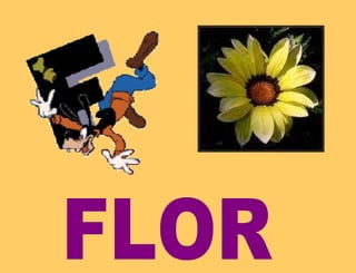 FLOR