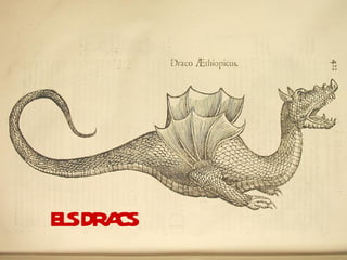 els dracs dels diables | PPT