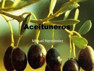 Aceituneros Miguel Hernández 