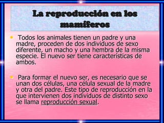 La reproducción en los
             mamíferos
• Todos los animales tienen un padre y una
  madre, proceden de dos individuos de sexo
  diferente, un macho y una hembra de la misma
  especie. El nuevo ser tiene características de
  ambos.

• Para formar el nuevo ser, es necesario que se
  unan dos células, una célula sexual de la madre
  y otra del padre. Este tipo de reproducción en la
  que intervienen dos individuos de distinto sexo
  se llama reproducción sexual.
 