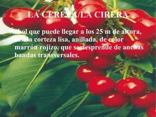 de un pimiento. Si mi nombre Alba es, aunque yo sea masculino,y rico mi apellido.  y mi final es que, 