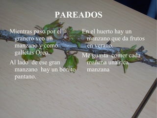 Somos verdes y amarillas, también  somos coloradas, es famosa nuestra tarta y también  puedes comernos sin que estemos cocinadas. 