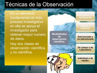 Campo.- También llamadas fichas de trabajo.