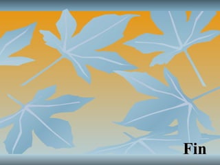 Fin 