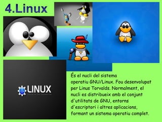 És el nucli del sistema operatiu GNU/Linux. Fou desenvolupat per Linus Torvalds. Normalment, el nucli es distribueix amb el conjunt d'utilitats de GNU, entorns d'escriptori i altres aplicacions, formant un sistema operatiu complet. 