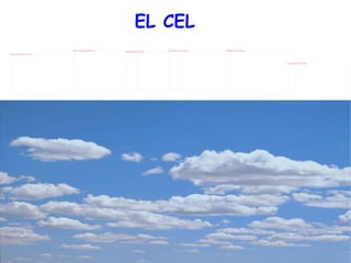 EL CEL 
