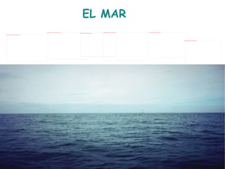 EL MAR 