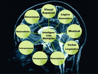 Visual
                      Espacial
                                      Lógica
       Emocional
                                    Matemática




Naturalista           Inteligen-
                                              Musical
                         cias
                      Múltiples

                                             Verbal
  Interpersonal                             Lingüística



              Intrapersonal   Kinestética
 