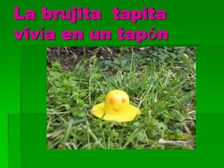 La brujita tapita
vivía en un tapón