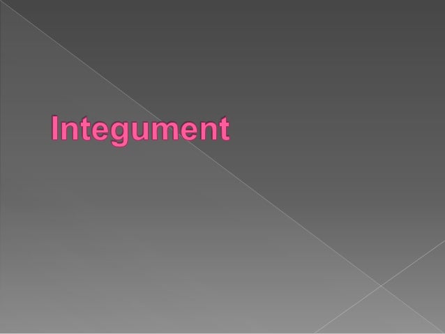 Assessment On Skin Hair Nails Heent
