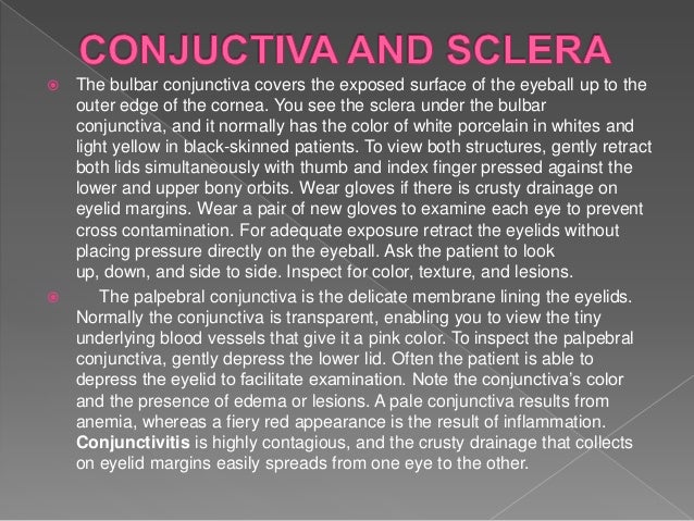 Assessment on Skin, Hair & Nails / HEENT