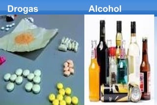 Drogas Alcohol
 