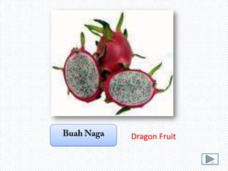 Dragon Fruit
10

 