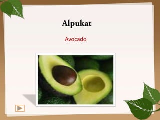 Avocado

4

 