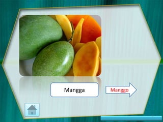 Mangga

Manggo

5

 