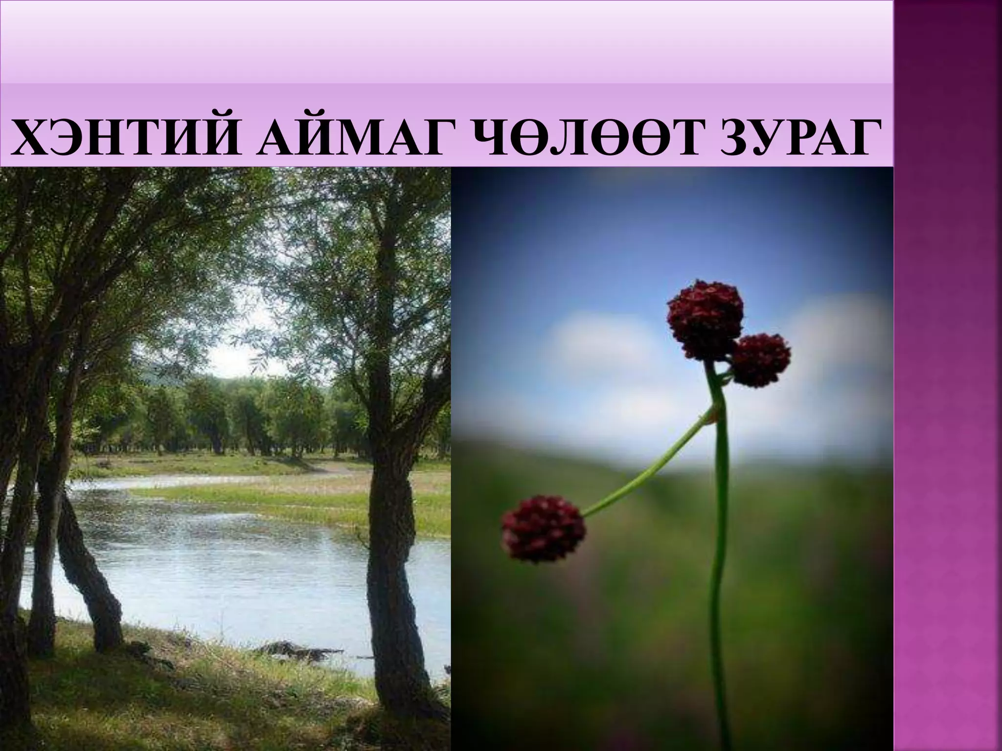 хэнтий аймаг