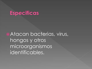 Atacan bacterias, virus,
hongos y otros
microorganismos
identificables.
 