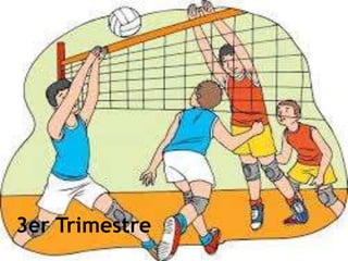 3er Trimestre
 