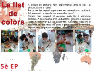 A cinquè de primària hem experimentat amb la llet i la
pintura. Mans a l’obra!
Per poder fer aquest experiment es necessita un recipient,
llet, colorant, bastonets per les orelles i sabó.
Primer hem omplert el recipient amb llet i introduïm
colorant. A continuació amb un bastonet toquem el colorant
i podem observar que no passa res. Aleshores suquem el
bastonet en una mica de sabó i quan toquem el colorant,
aquest s’escampa per tot el plat. AL·LUCINANT!
 