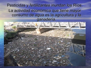 Pesticidas y fertilizantes inundan los Ríos.
La actividad económica que tiene mayor
consumo de agua es la agricultura y la
ganadería.

 