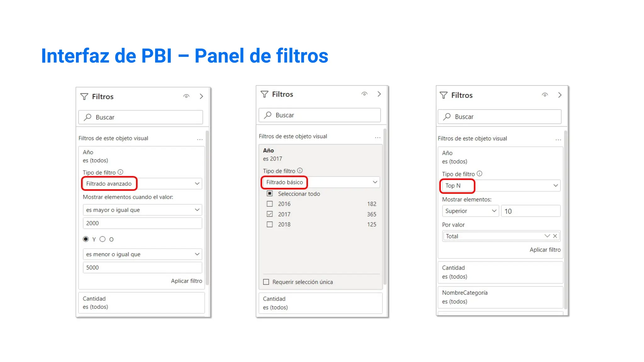 Interfaz de PBI – Panel de filtros
 