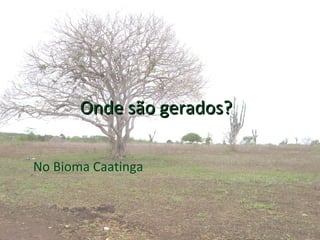 Conheca nosso Bioma Caatinga.