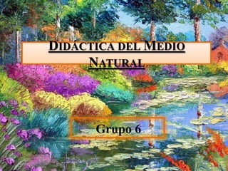DIDÁCTICA DEL MEDIO
NATURAL

Grupo 6

 