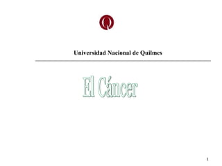 Universidad Nacional de Quilmes




                                  1
 