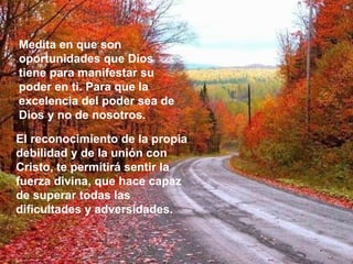 Medita en que son oportunidades que Dios tiene para manifestar su poder en ti. Para que la excelencia del poder sea de Dios y no de nosotros.  El reconocimiento de la propia debilidad y de la unión con Cristo, te permitirá sentir la fuerza divina, que hace capaz de superar todas las dificultades y adversidades. 