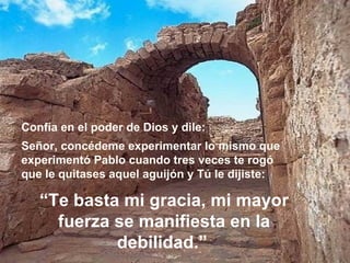“ Te basta mi gracia, mi mayor fuerza se manifiesta en la debilidad.”   Confía en el poder de Dios y dile: Señor, concédeme experimentar lo mismo que experimentó Pablo cuando tres veces te rogó que le quitases aquel aguijón y Tú le dijiste:  