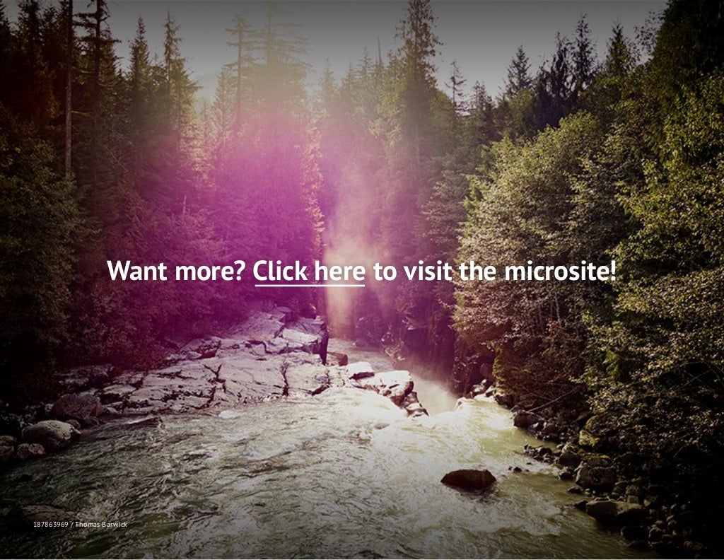 The Power of Visual Storytelling