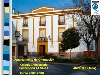 Departamento de Orientación Colegio Inmaculada Concepción LA SALLE Curso 2007-2008   ANDÚJAR (Jaén) 