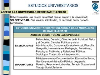 ESTUDIOS UNIVERSITARIOS ACCESO A LA UNIVERSIDAD DESDE BACHILLERATO Deberéis realizar una prueba de aptitud para el acceso a la universidad;  SELECTIVIDAD . Para realizar selectividad, es necesario haber cursado bachillerato. Biblioteconomía y Documentación, Educación Social, Gestión y Administración Pública, Logopedia, Maestro, Relaciones Laborales, Terapia Ocupacional, Trabajo Social,Turismo. DIPLOMATURAS Bellas Artes, Derecho, Ciencias de la Actividad Física y el Deporte, Ciencias Políticas y de la Administración, Comunicación Audiovisual, Filosofía, Geografía, Humanidades, Pedagogía, Periodismo, Psicología, Publicidad y Relaciones Públicas, Sociología, Traducción e interpretación. LICENCIATURAS ACCESO DESDE TODAS LAS OPCIONES ESTUDIOS UNIVERSITARIOS VINCULADOS A CADA MODALIDAD DE BACHILLERATO 