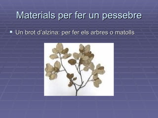 Materials per fer un pessebre Un brot d’alzina: per fer els arbres o matolls 