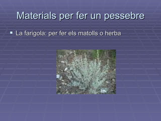 Materials per fer un pessebre La farigola: per fer els matolls o herba 