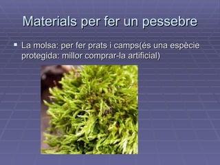 Materials per fer un pessebre La molsa: per fer prats i camps(és una espècie protegida: millor comprar-la artificial)  