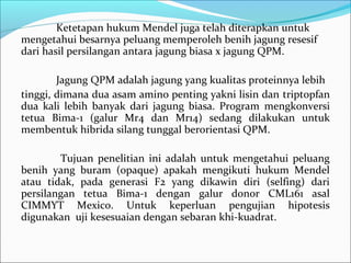 Ketetapan hukum Mendel juga telah diterapkan untuk
mengetahui besarnya peluang memperoleh benih jagung resesif
dari hasil persilangan antara jagung biasa x jagung QPM.
Jagung QPM adalah jagung yang kualitas proteinnya lebih
tinggi, dimana dua asam amino penting yakni lisin dan triptopfan
dua kali lebih banyak dari jagung biasa. Program mengkonversi
tetua Bima-1 (galur Mr4 dan Mr14) sedang dilakukan untuk
membentuk hibrida silang tunggal berorientasi QPM.
Tujuan penelitian ini adalah untuk mengetahui peluang
benih yang buram (opaque) apakah mengikuti hukum Mendel
atau tidak, pada generasi F2 yang dikawin diri (selfing) dari
persilangan tetua Bima-1 dengan galur donor CML161 asal
CIMMYT Mexico. Untuk keperluan pengujian hipotesis
digunakan uji kesesuaian dengan sebaran khi-kuadrat.

 