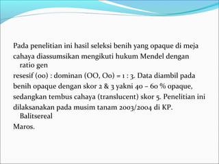 Pada penelitian ini hasil seleksi benih yang opaque di meja
cahaya diassumsikan mengikuti hukum Mendel dengan
ratio gen
resesif (oo) : dominan (OO, Oo) = 1 : 3. Data diambil pada
benih opaque dengan skor 2 & 3 yakni 40 – 60 % opaque,
sedangkan tembus cahaya (translucent) skor 5. Penelitian ini
dilaksanakan pada musim tanam 2003/2004 di KP.
Balitsereal
Maros.

 