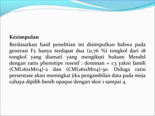 Kesimpulan
Berdasarkan hasil penelitian ini disimpulkan bahwa pada
generasi F2 hanya terdapat dua (11,76 %) tongkol dari 18
tongkol yang diamati yang mengikuti hukum Mendel
dengan ratio phenotipe resesif : dominan = 1:3 yakni famili
(CML161xMr14)-2 dan (CML161xMr14)-30. Diduga ratio
persentase akan meningkat jika pengambilan data pada meja
cahaya dipilih benih opaque dengan skor 1 sampai 4.

 