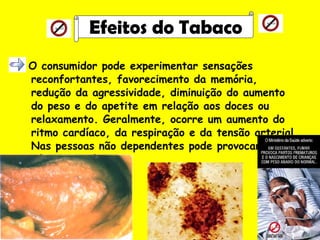 O consumidor pode experimentar sensações reconfortantes, favorecimento da memória, redução da agressividade, diminuição do aumento do peso e do apetite em relação aos doces ou relaxamento. Geralmente, ocorre um aumento do ritmo cardíaco, da respiração e da tensão arterial. Nas pessoas não dependentes pode provocar náuseas e vómitos. Efeitos do Tabaco  