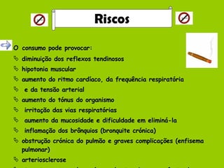 O   consumo pode provocar: diminuição dos reflexos tendinosos hipotonia muscular aumento do ritmo cardíaco, da frequência respiratória e da tensão arterial aumento do tónus do organismo irritação das vias respiratórias aumento da mucosidade e dificuldade em eliminá-la inflamação dos brônquios (bronquite crónica) obstrução crónica do pulmão e graves complicações (enfisema pulmonar)  arteriosclerose transtornos vasculares (exemplo: trombose e enfarte do miocárdio) Riscos 