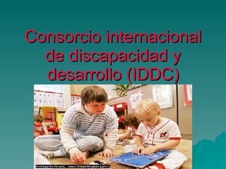 Consorcio internacional de discapacidad y desarrollo (IDDC) 